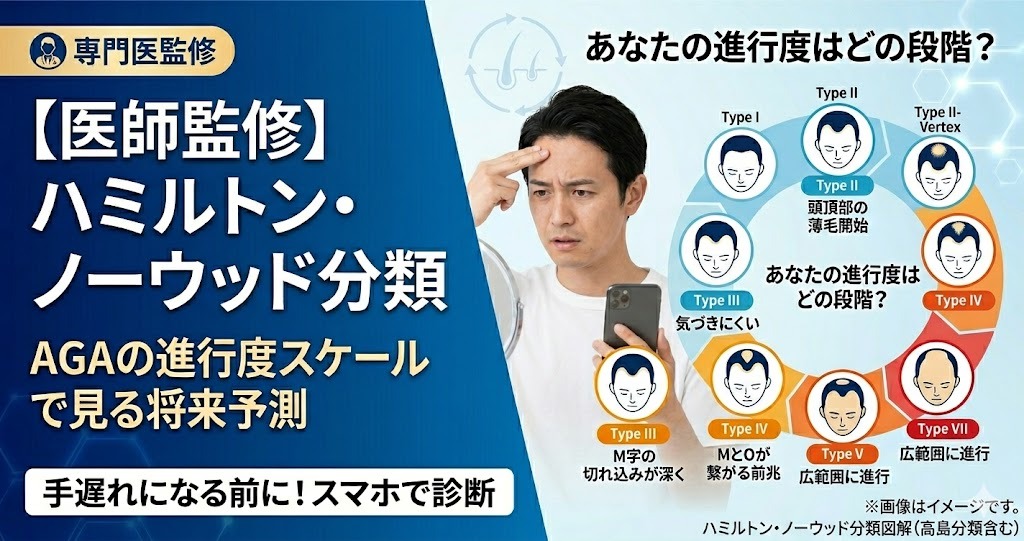 【図解】ハミルトン・ノーウッド分類。Type1からType7までのAGA進行度スケールと将来予測