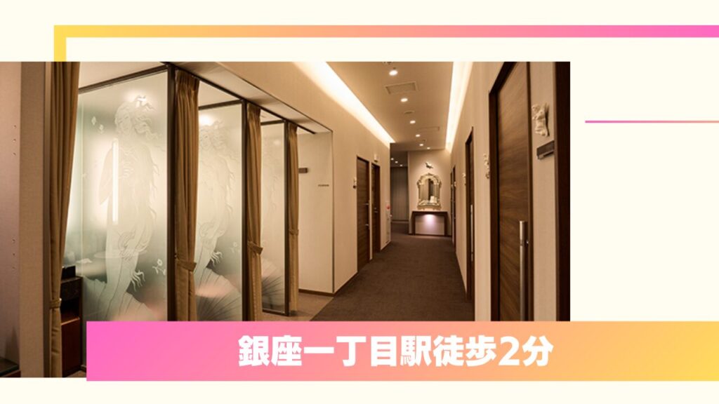 美容外科歴35年の匠の技！ノエル銀座クリニック 