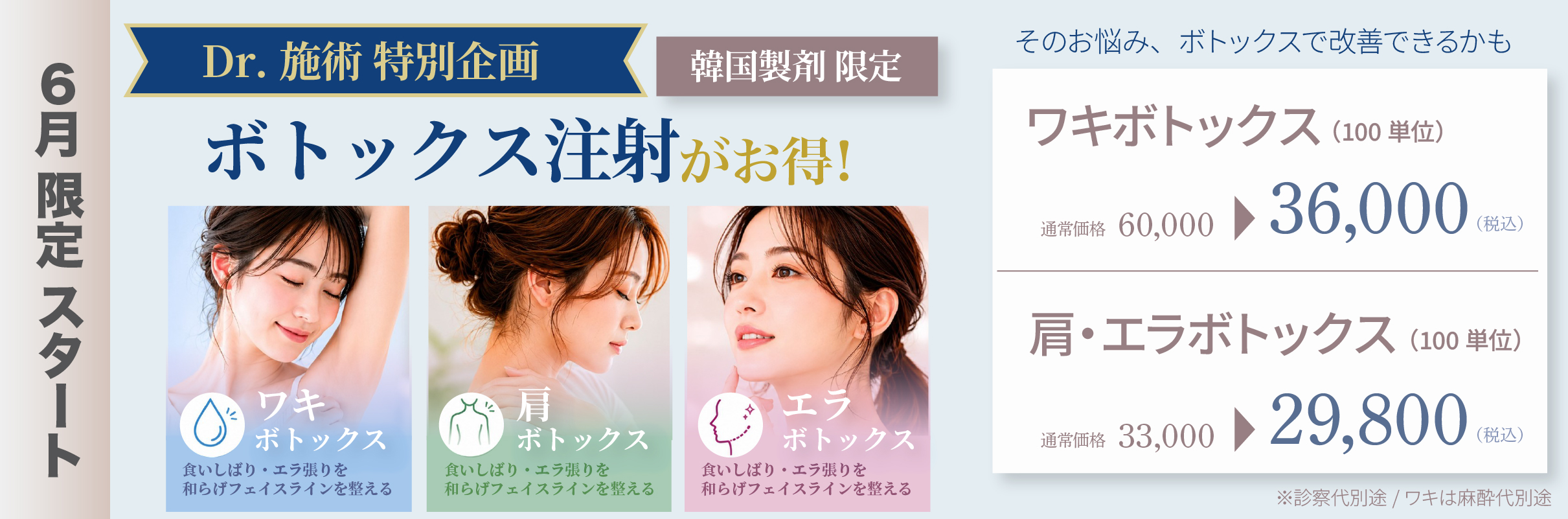 6月限定企画