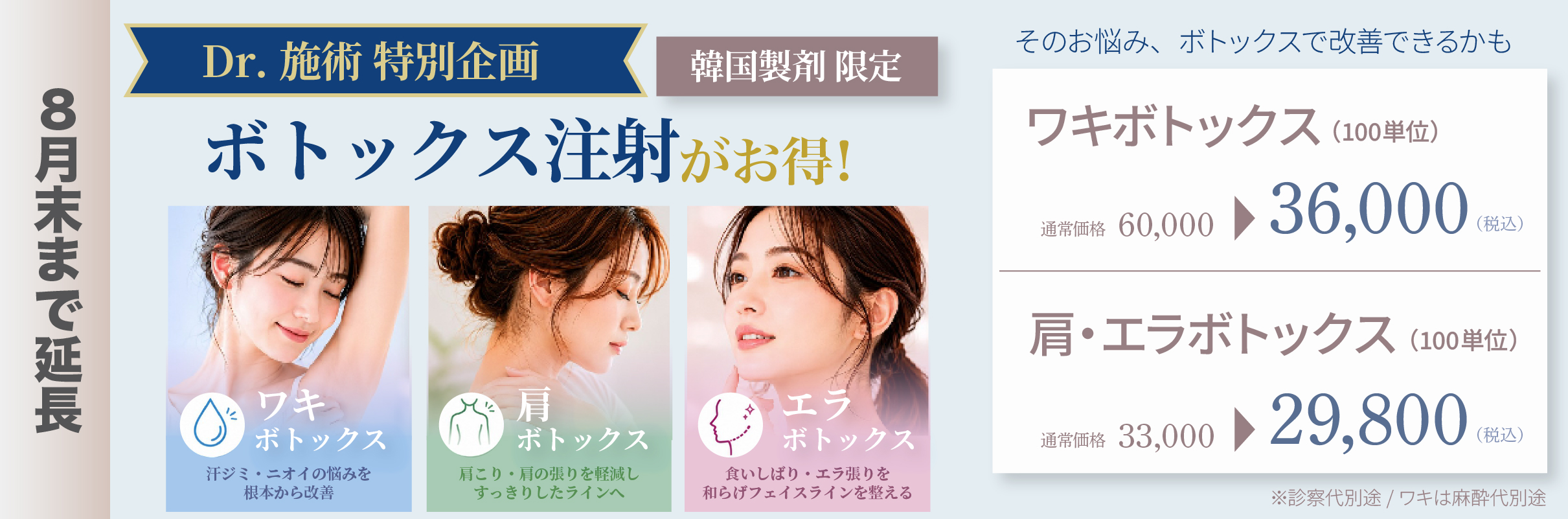 7・8月限定企画