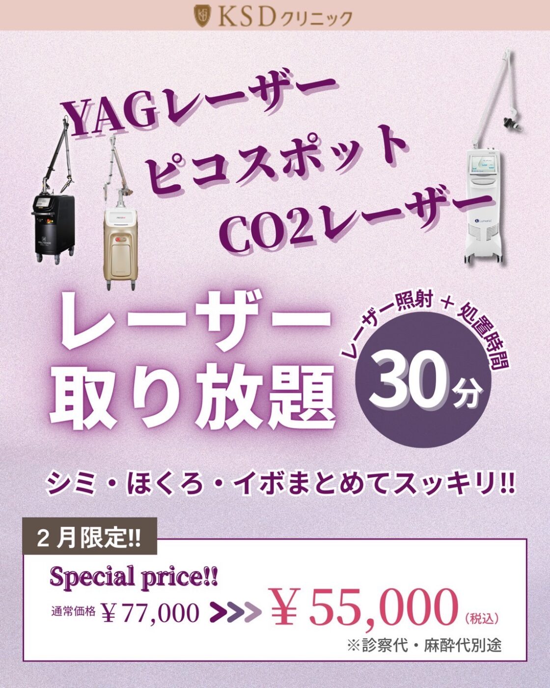 レーザー取り放題　（YAGレーザー・ピコスポット・CO2レーザー）